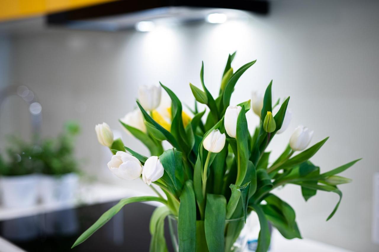 Apartamenty Tespis - Francuska Atal Park II Katovice Exteriér fotografie